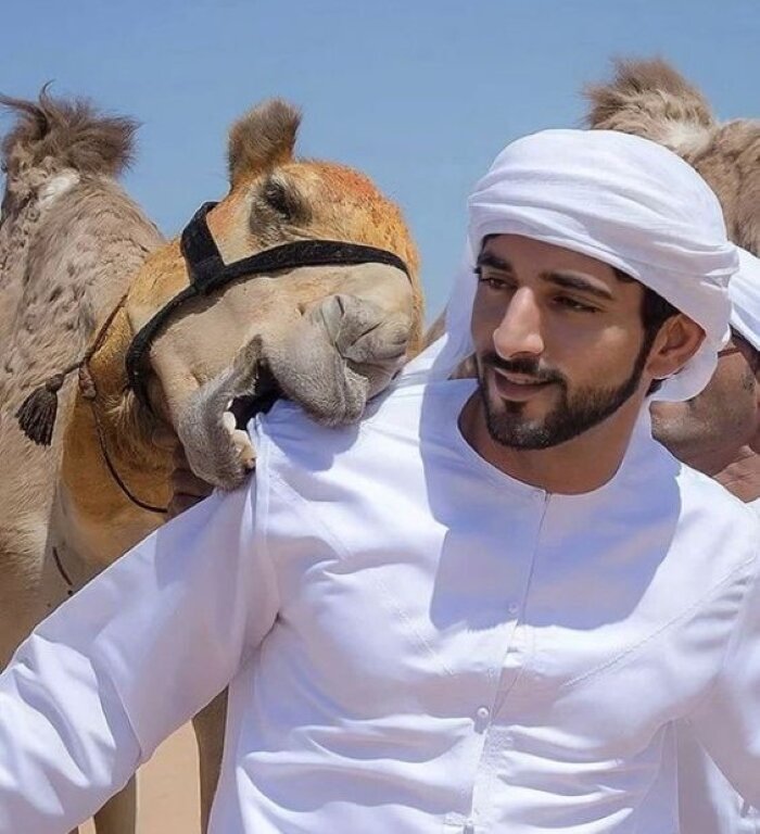 Шейх Хамдан бин Мохаммед Аль Мактум. Я не знаю, та ли это верблюдица. Ведь у наследного принца много верблюдов. Фото с сайта https://ru.pinterest.com/
