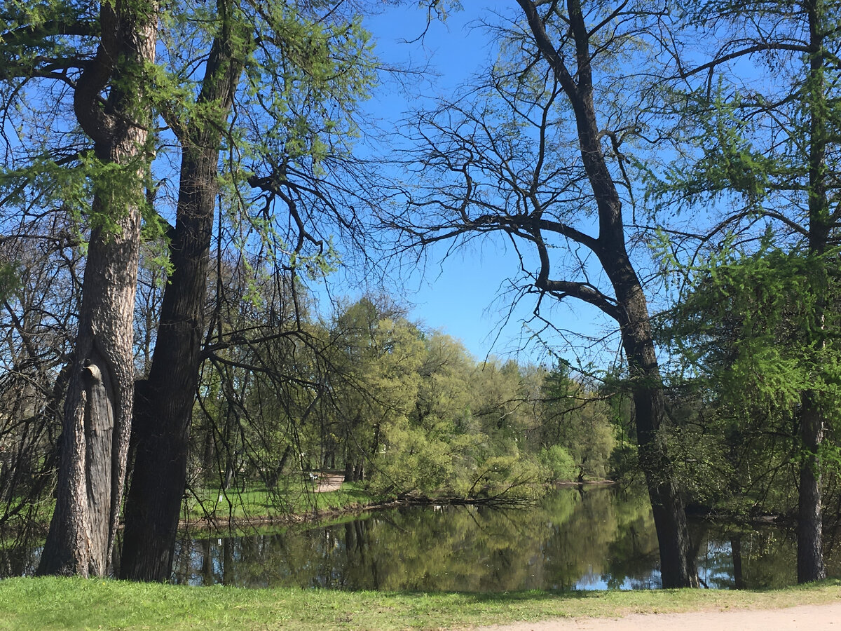 Какие же тусклые краски на этом фото