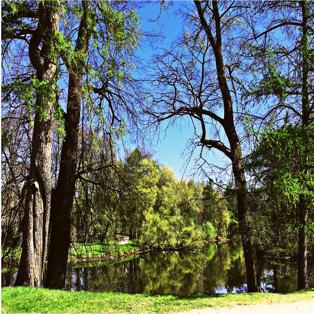 Так гараздо лучше! Всё ярко и цветасто!