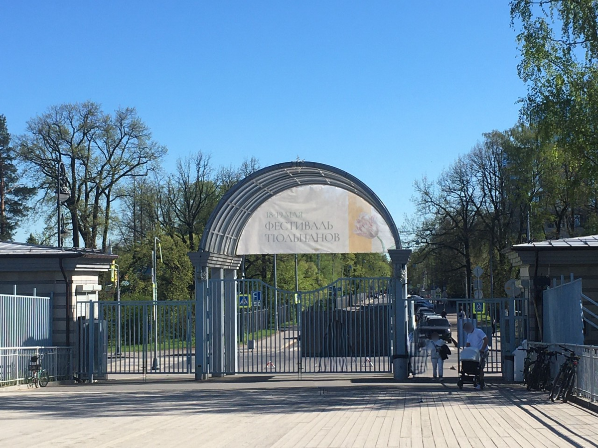 Мы не знали, но в те выходные проходил фестиваль тюльпанов