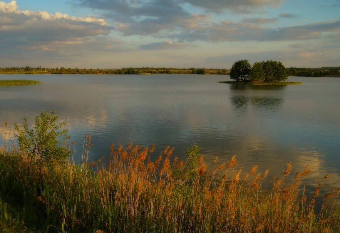 Озера курска фото Курская область - 90 лет. Мой сад-огородик! И много интересного!! Дзен