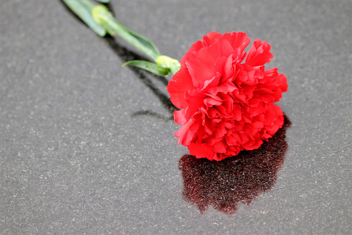    Фото: Goran Horvat / Pixabay.com