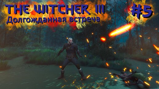 Долгожданная встреча | The Witcher 3 / Ведьмак 3 #005 [Прохождение] | Play GH