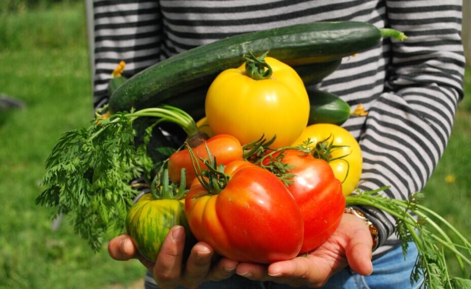    Свежие овощи станут отличным дополнением к мясу. Фото: pxhere.com