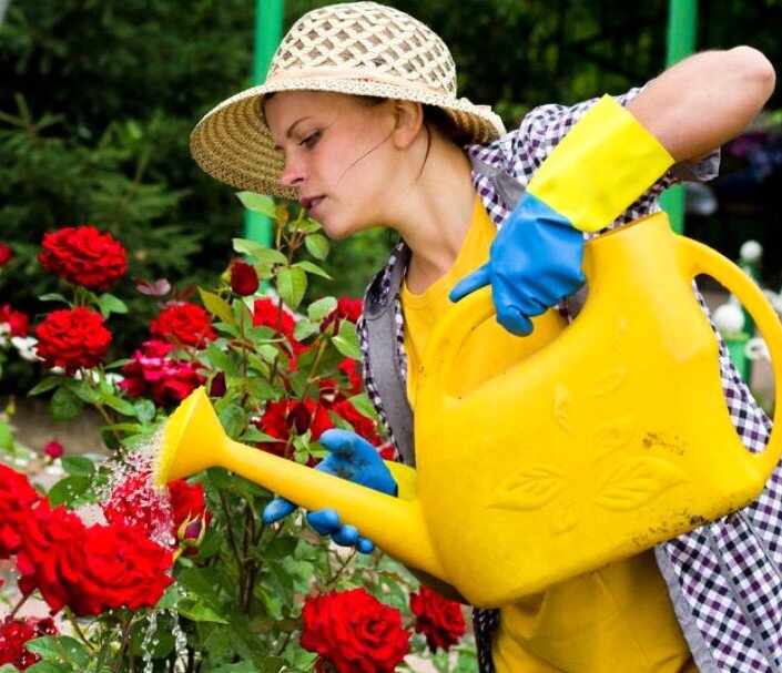 Из свободных источников