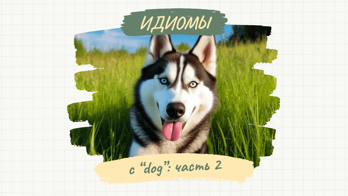 Фото для обложки сгенерировано нейросетью «Шедеврум»