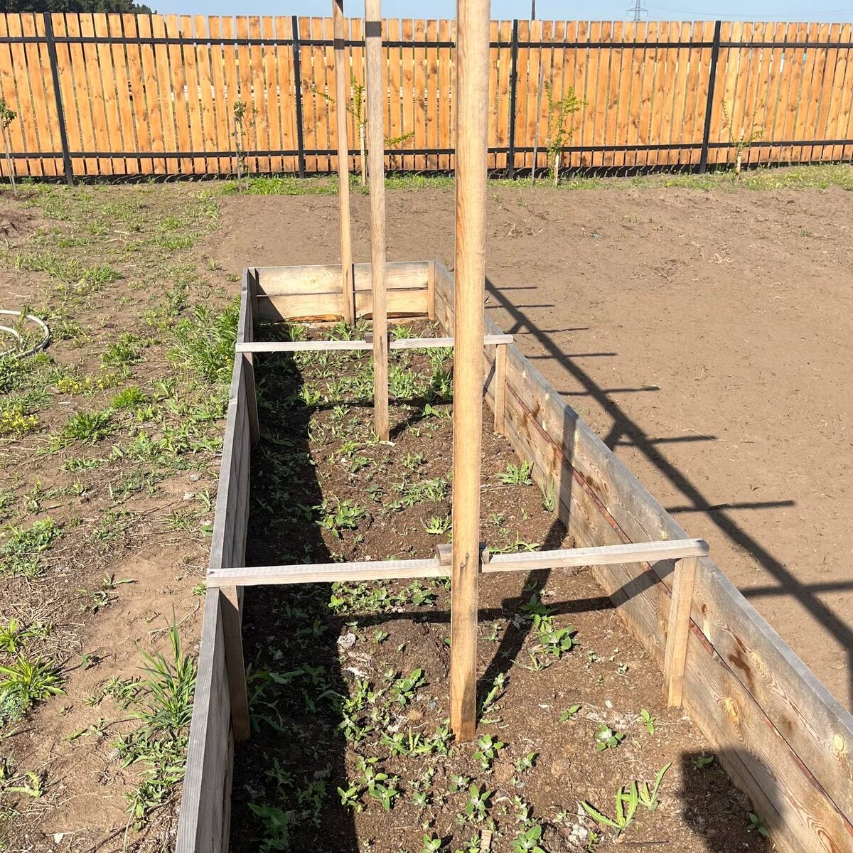 Огуречник с зимы еще не трогали