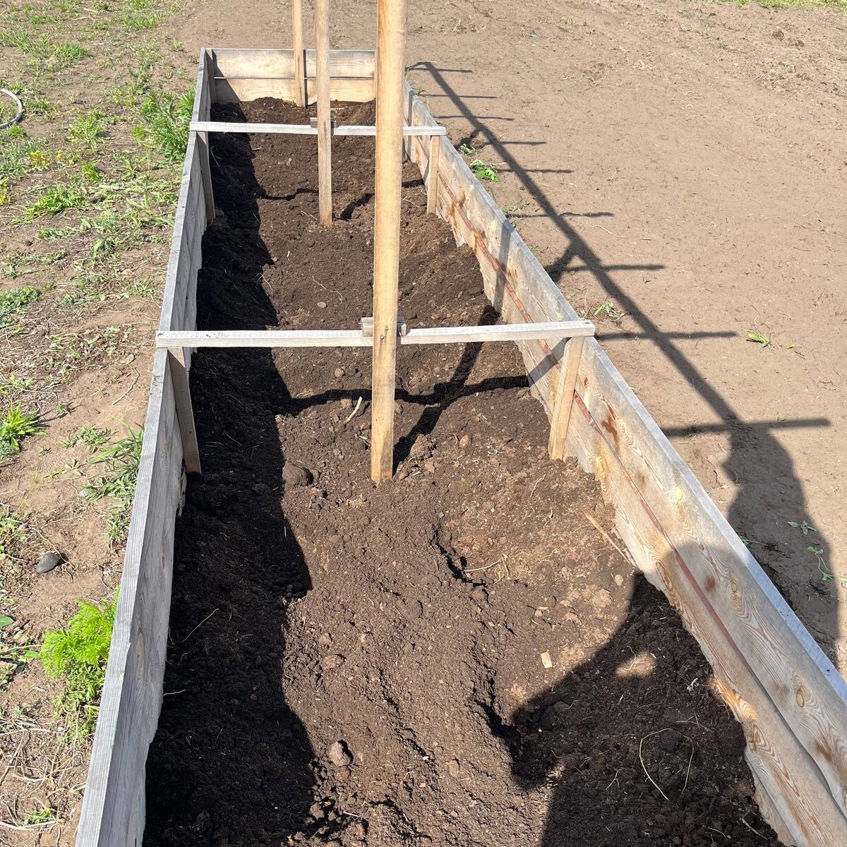 Добавили перегноя, сделали лунки