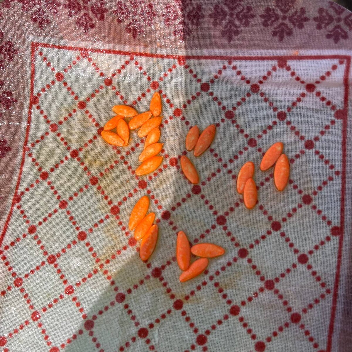 Намоченные огурцы