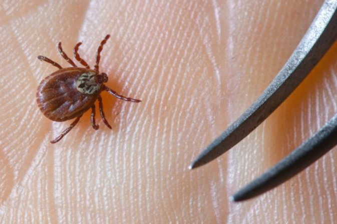 Изображение от Freepik