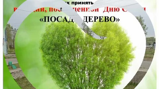 🌳 16 семей жителей микрорайона «Поляна» с. Возжаевка посадили фамильные деревья