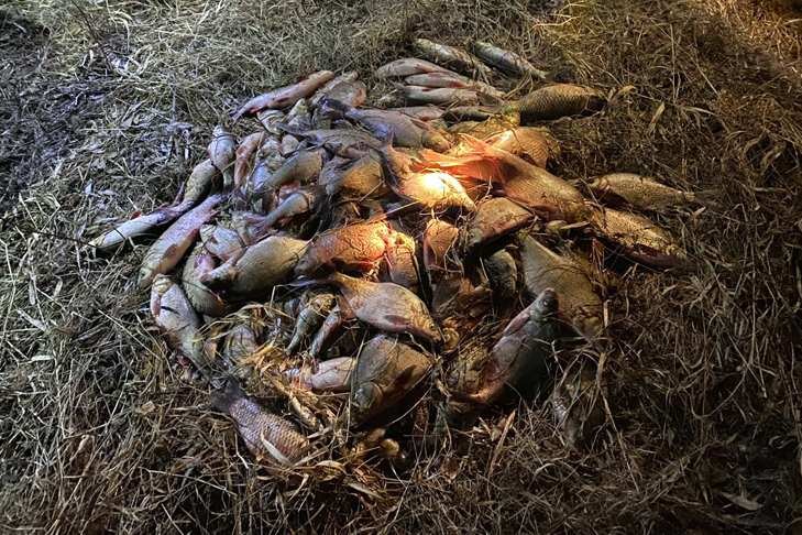 © Фото улова предоставлено Транспортной полицией.📷
