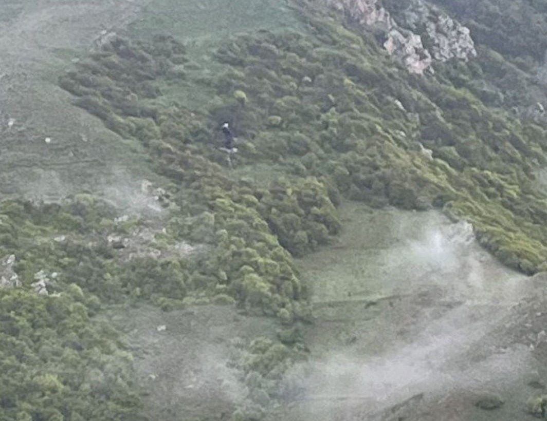 Фото: департамент спасателей Ирана