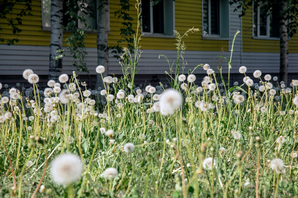    Это временно: в Сургут пришла весна