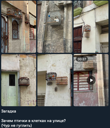 Скриншот из нашего канала в телеграме, фото можно рассмотреть ближе в конце статьи