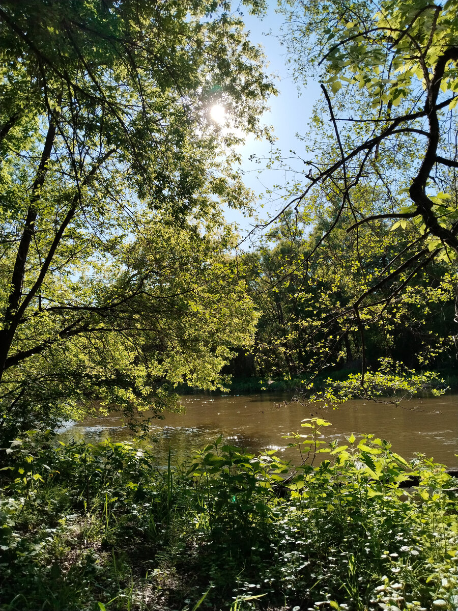 Вода чистая, цвет реки из-за того, что видно дно 