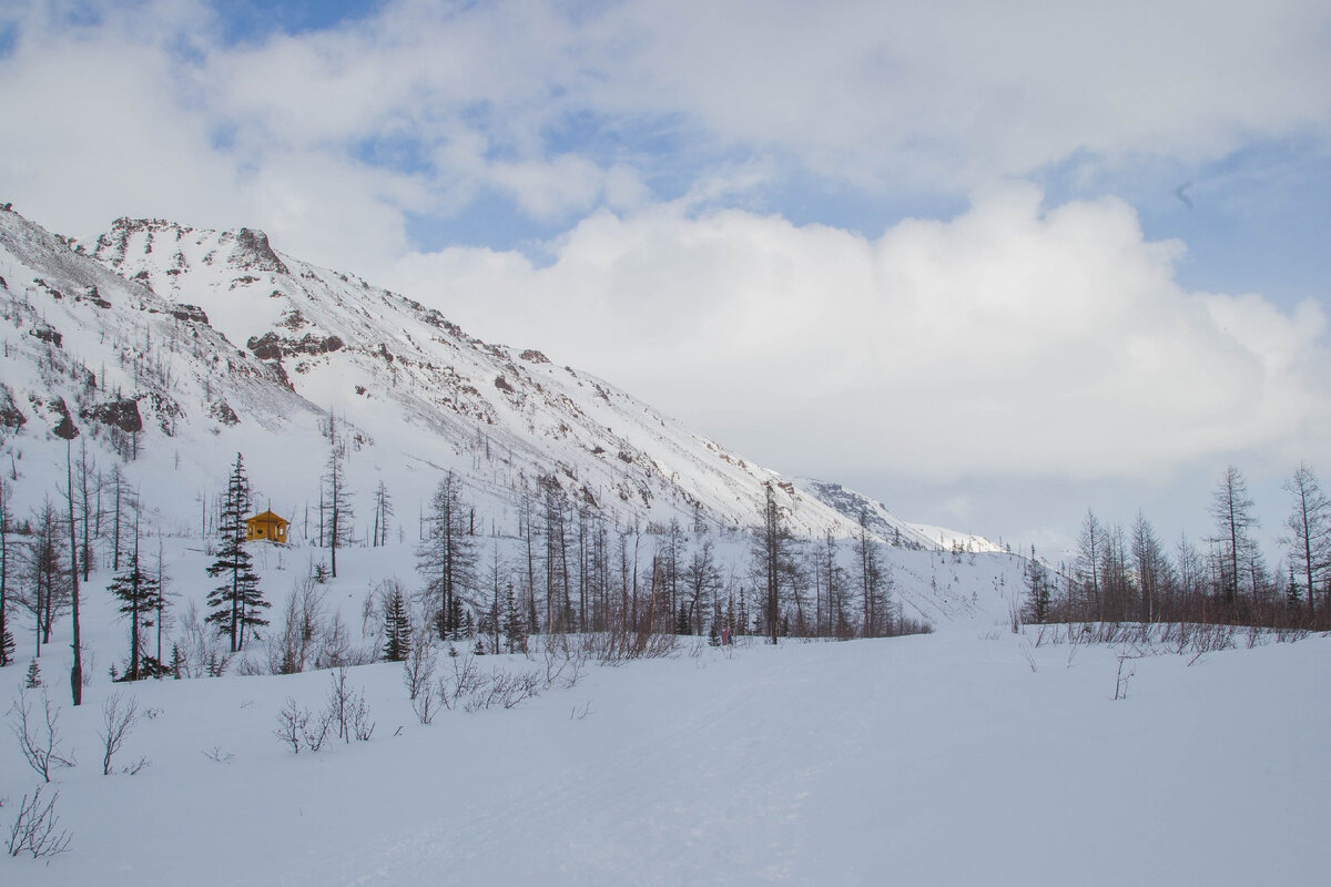Фото Олеся Химич 