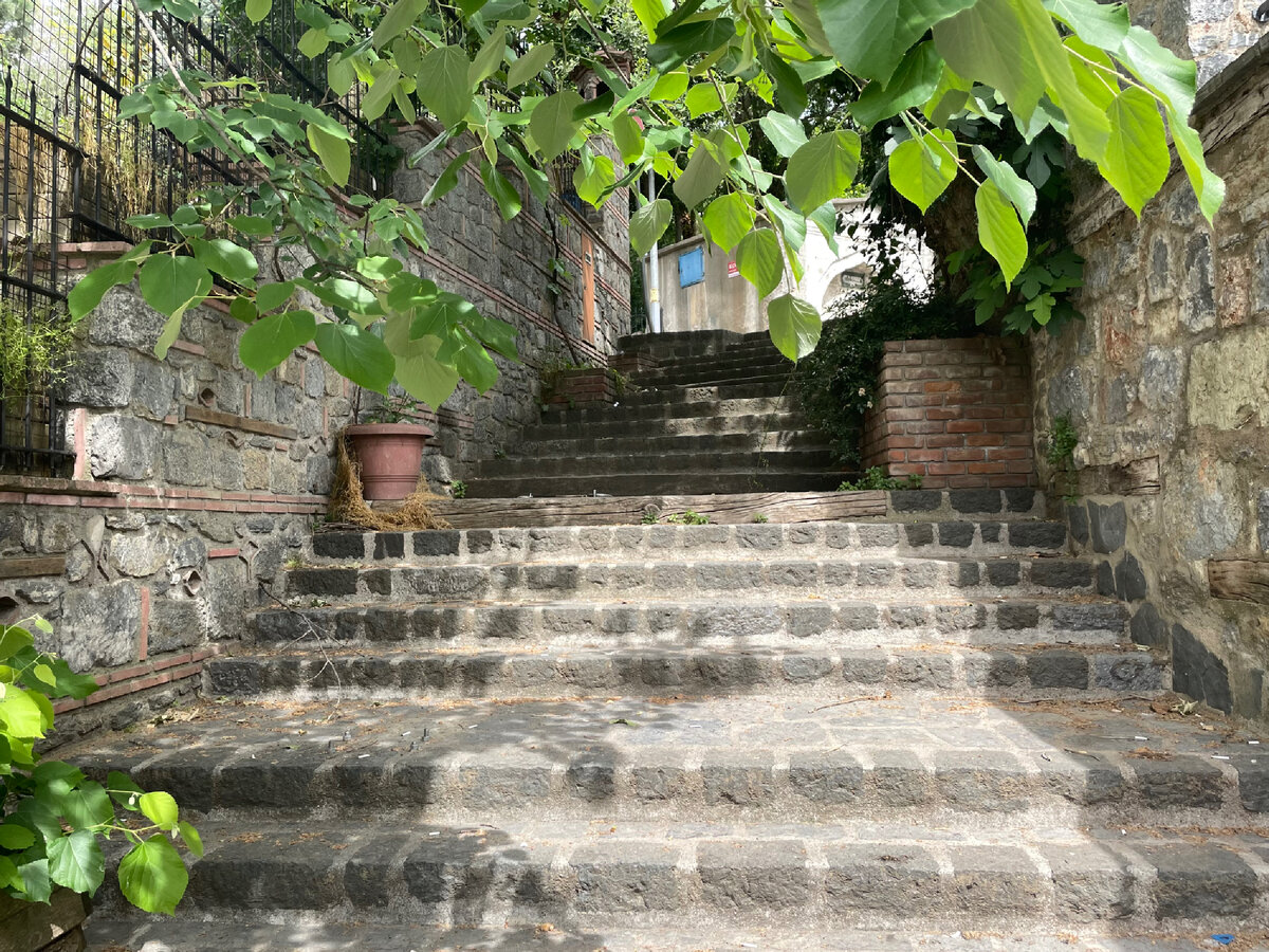 Спуск к ручью