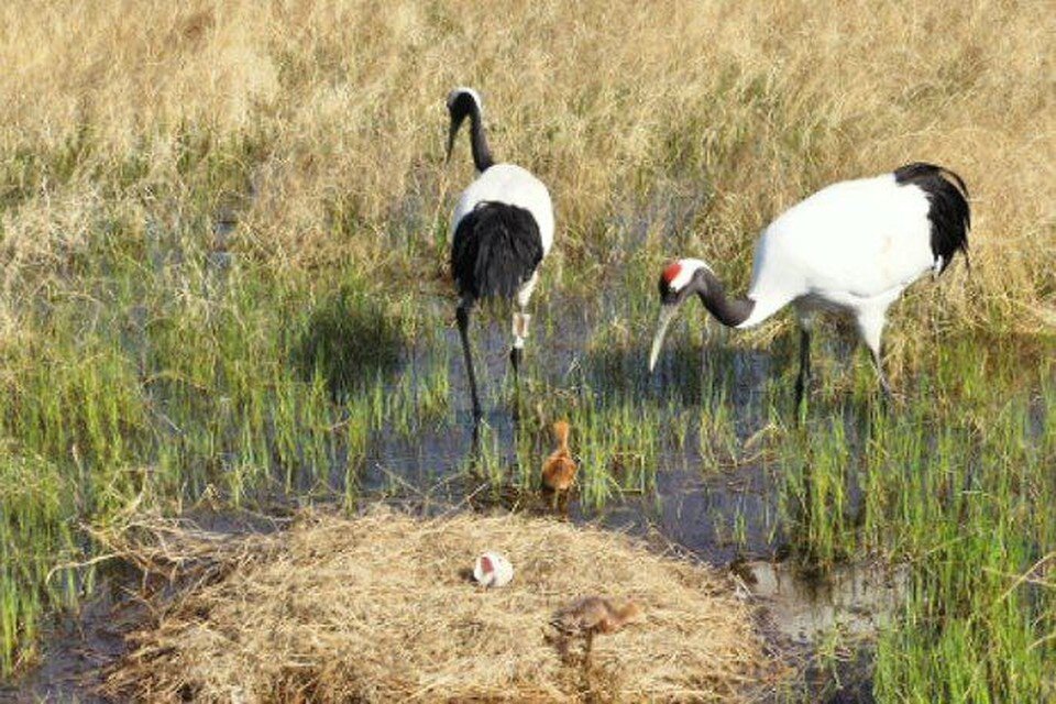    Первый шаг в большой мир. Фото: Антон Сасин