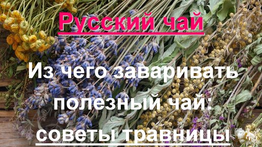 Русский чай: советы травницы