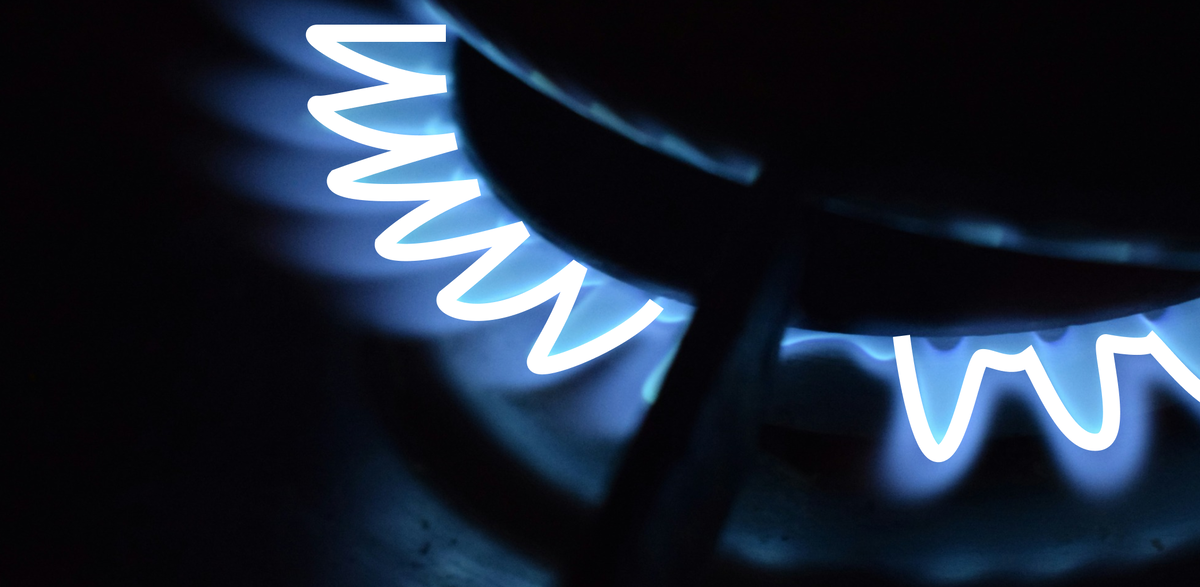 Источник: Авторский материал пользователя платформы. Источник фото: Unsplash (https://unsplash.com/)