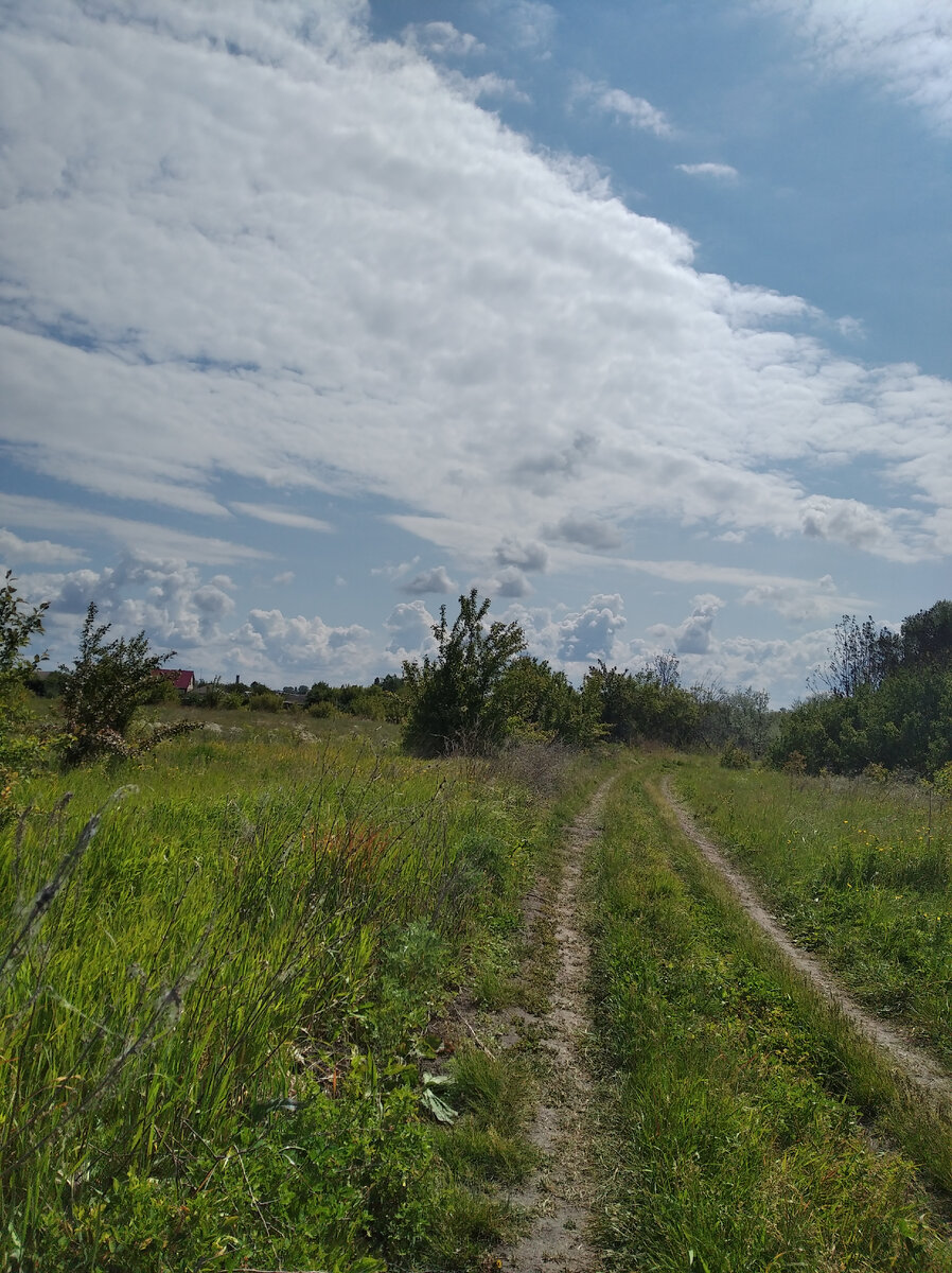 Дорога от реки.