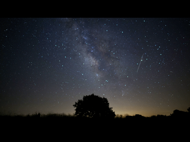 Фото: Яндекс картинки