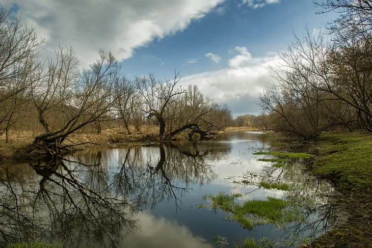 Фото Алексея Коверзнева