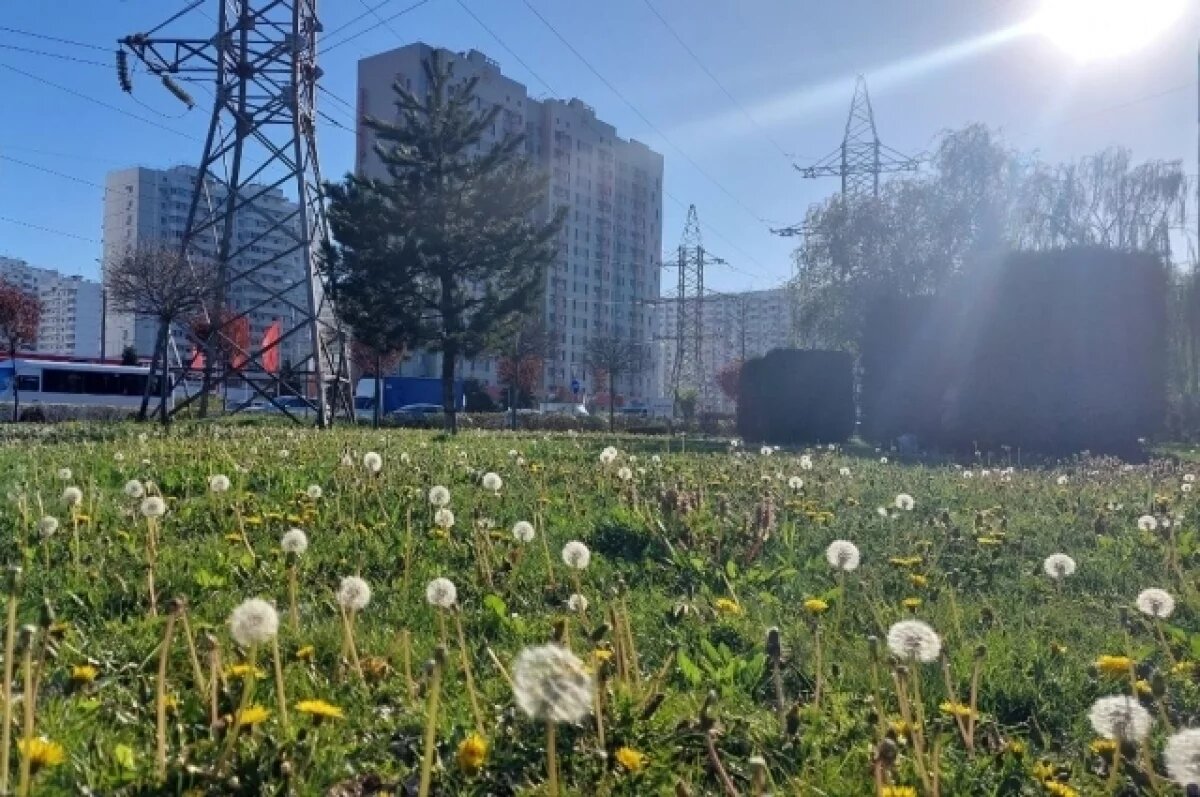    Тюменка рассказала о плюсах и минусах жизни в Краснодаре