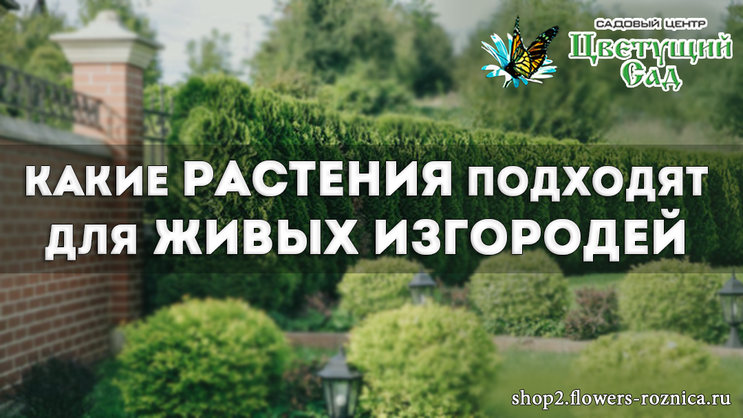 Источник изображения: Getty Images/iStockphoto