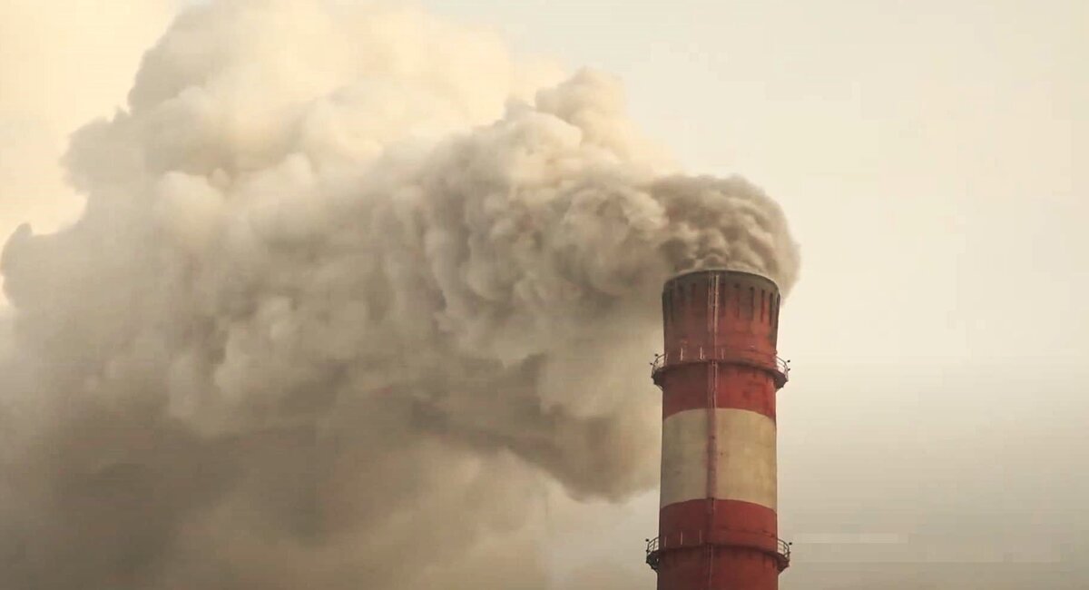 Фото newsib.net.