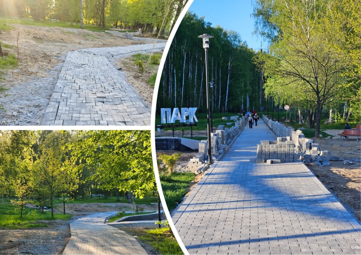 Павловская роща ярославль фото