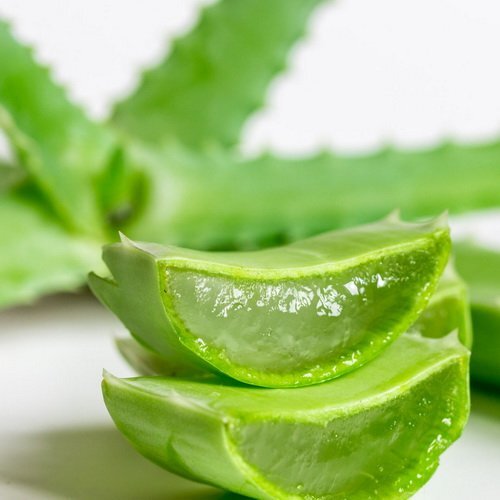 Алоэ вера- проверенное лекарство. 