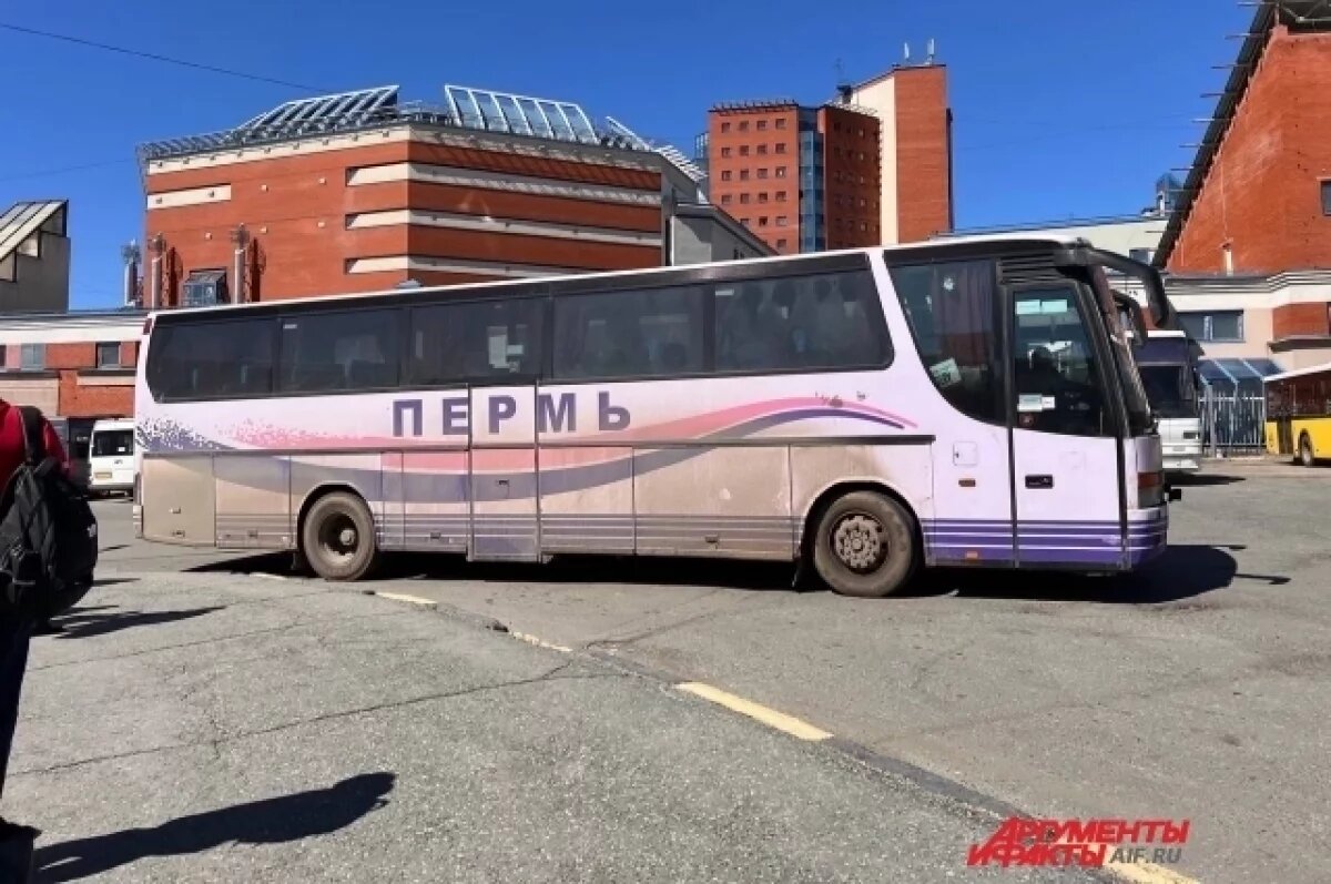 Пассажиры автобуса Ижевск – Пермь жалуются на духоту и грязь в салоне | АиФ– Пермь | Дзен