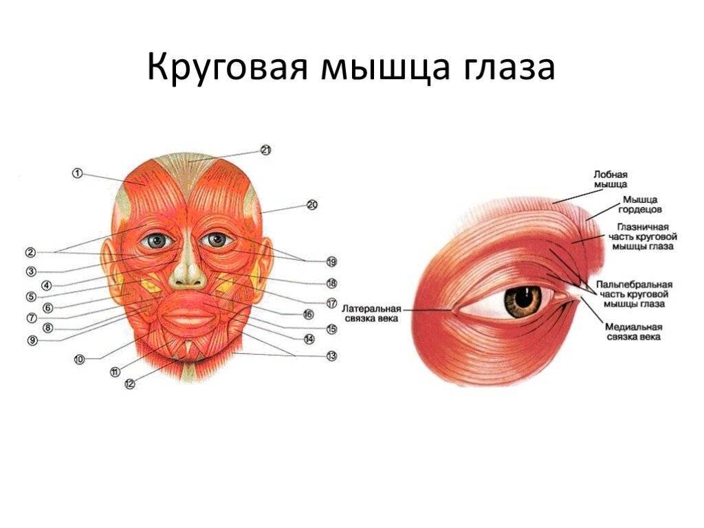 На самом деле такие проблемы, как нависшие веки, мелкие морщинки вокруг глаз ( которые называют "гусиные лапки" ) являются достаточно распространенными проблемами для области вокруг глаз.-2