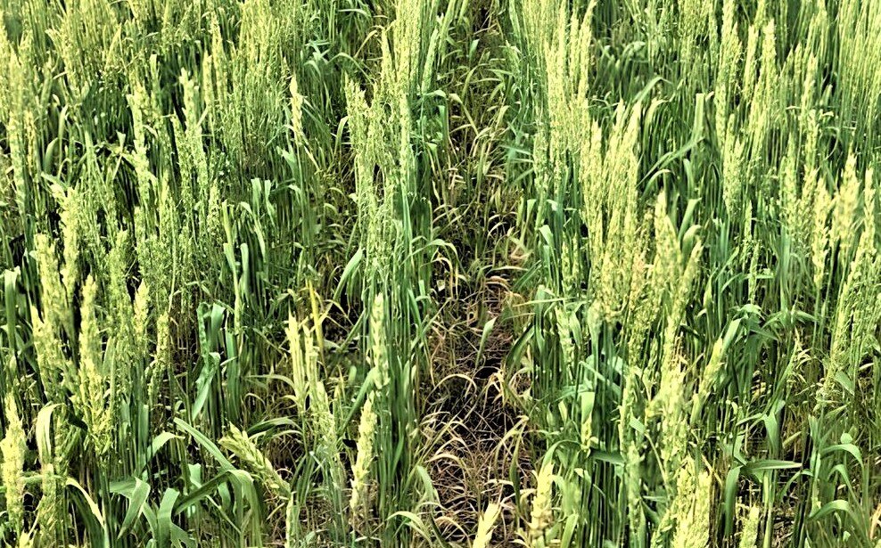 Фото иллюстративное, Эдуарда Двуреченского 