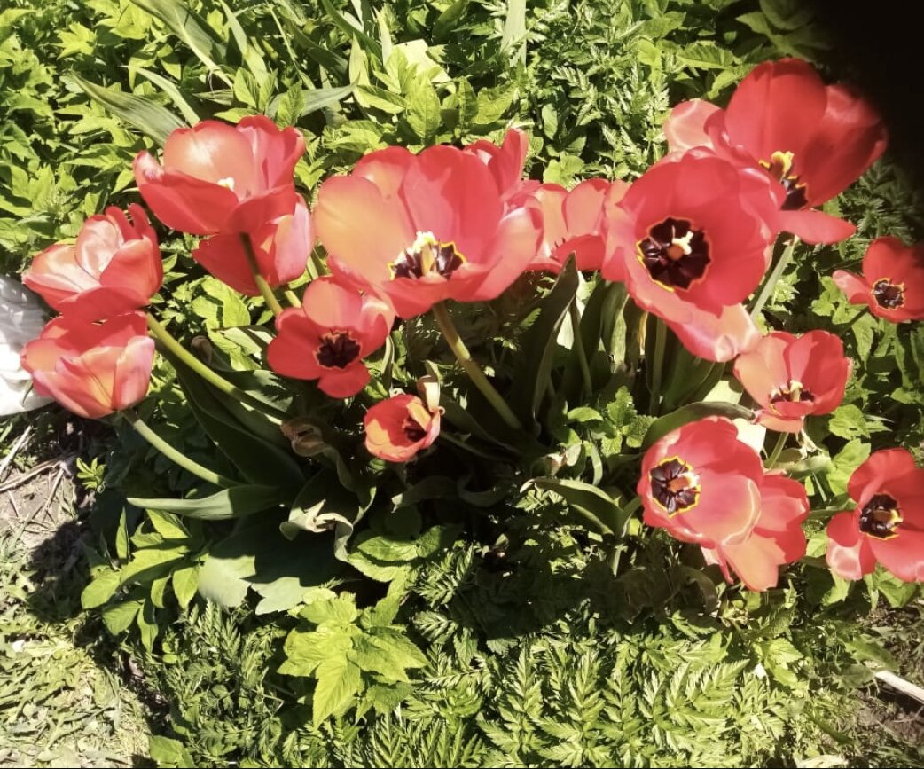 Красота ❤️