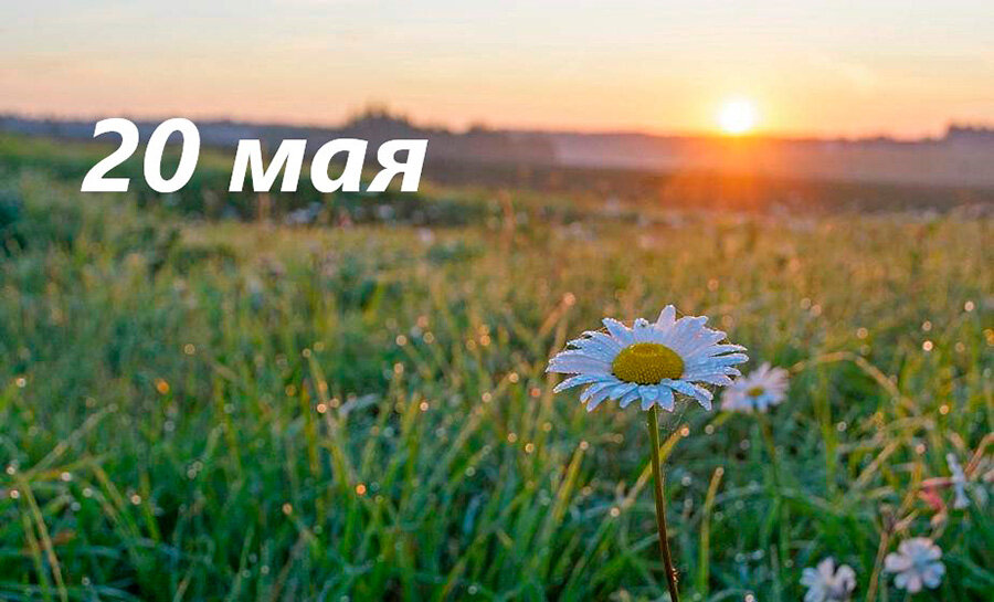     А что у нас в календаре? 20 мая