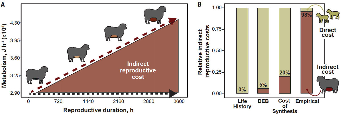   Samuel C. Ginther et al. / Science, 2024