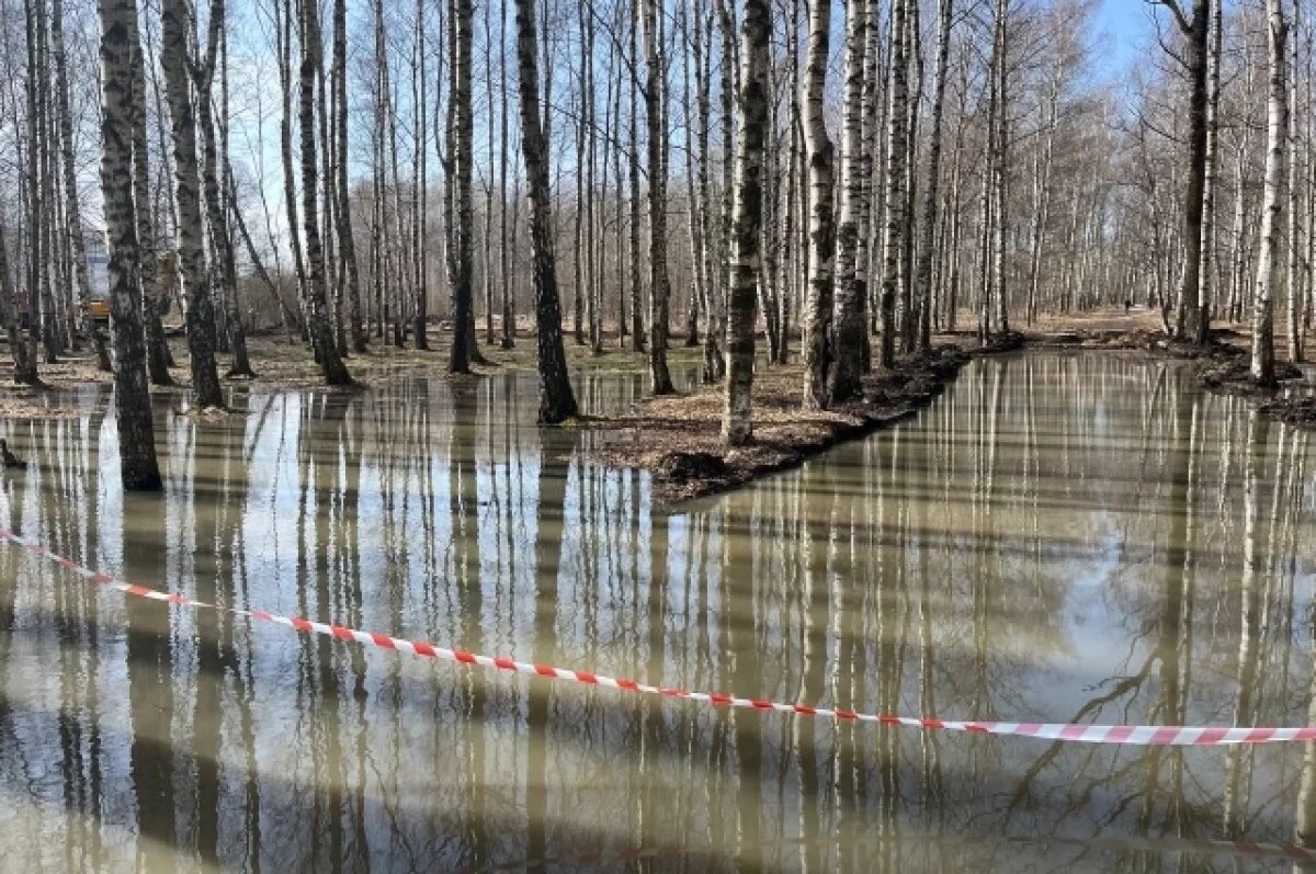    В Новосибирской области завершается период паводка на малых реках