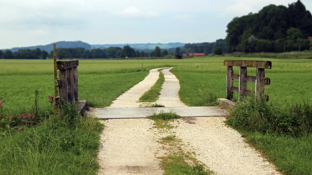 Лесной сервитут