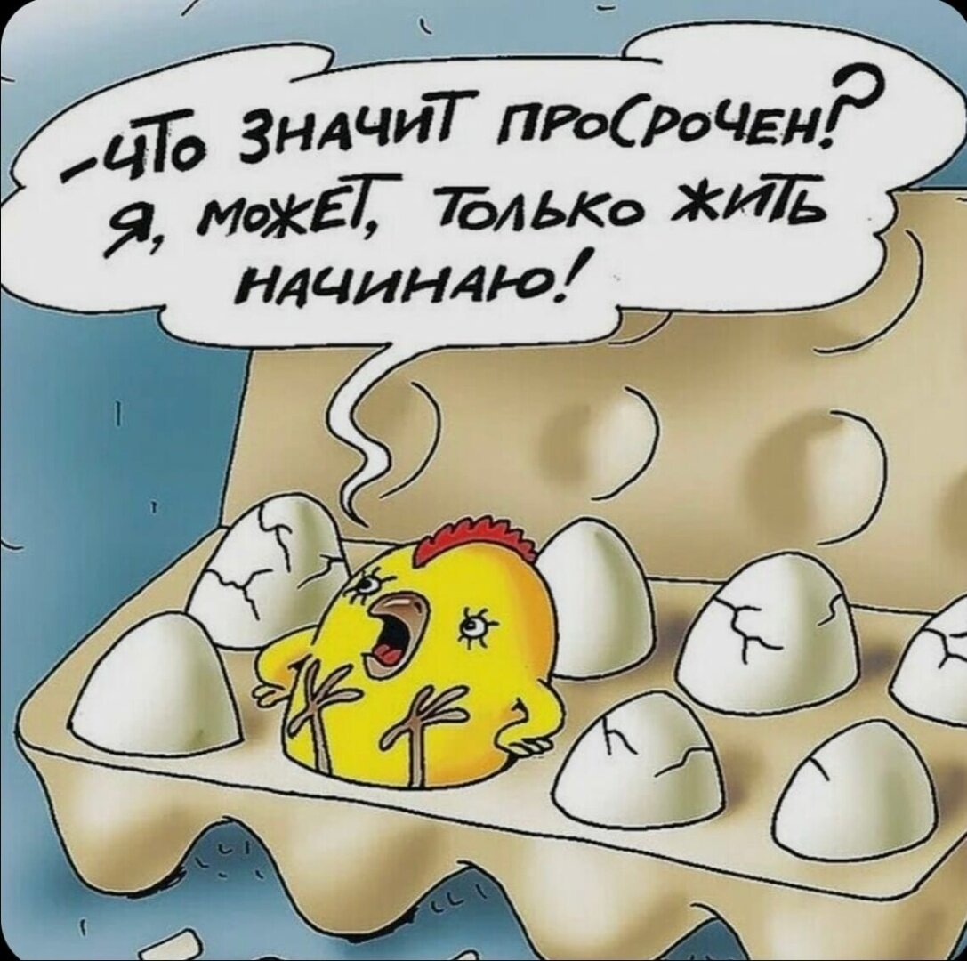 из Яндекс.Картинки