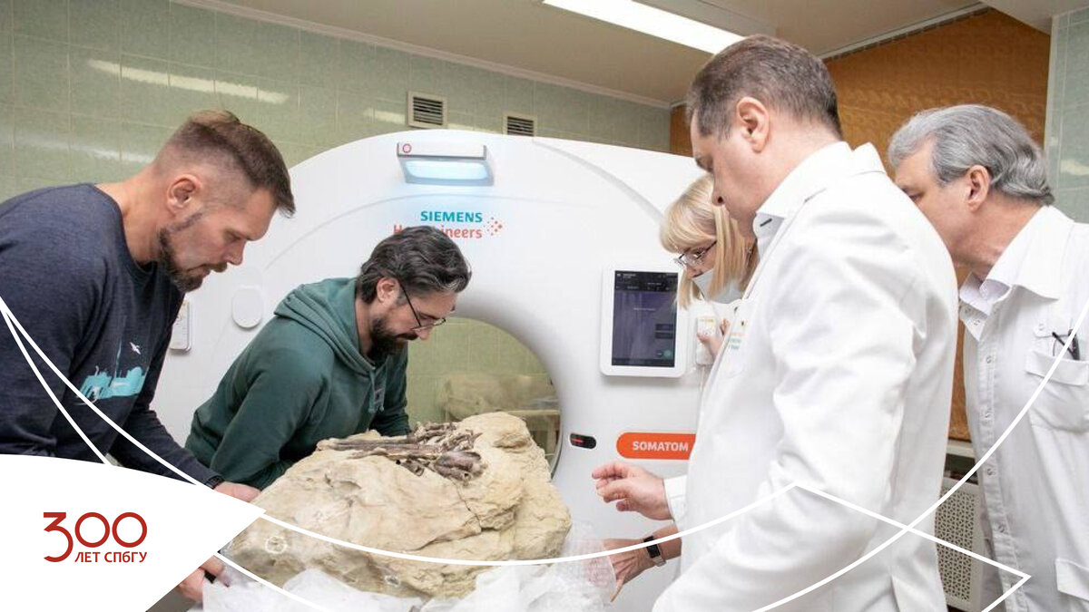 Источник: https://t.me/paleo_lab