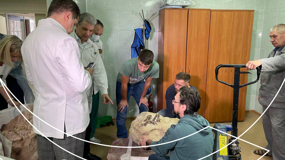 Источник: https://t.me/paleo_lab 