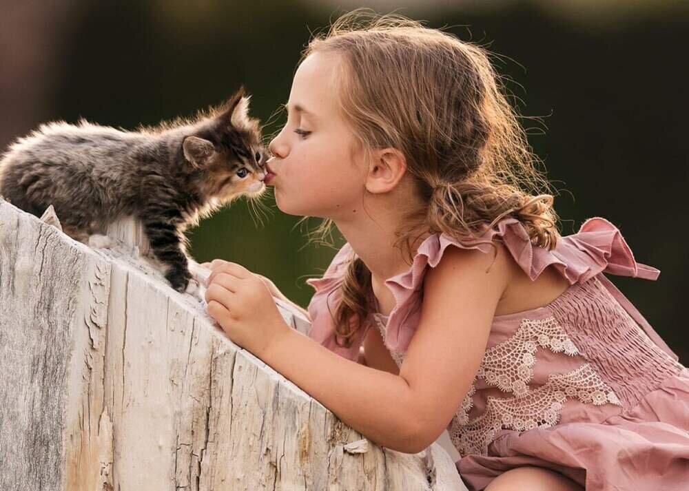 картинка из интернета