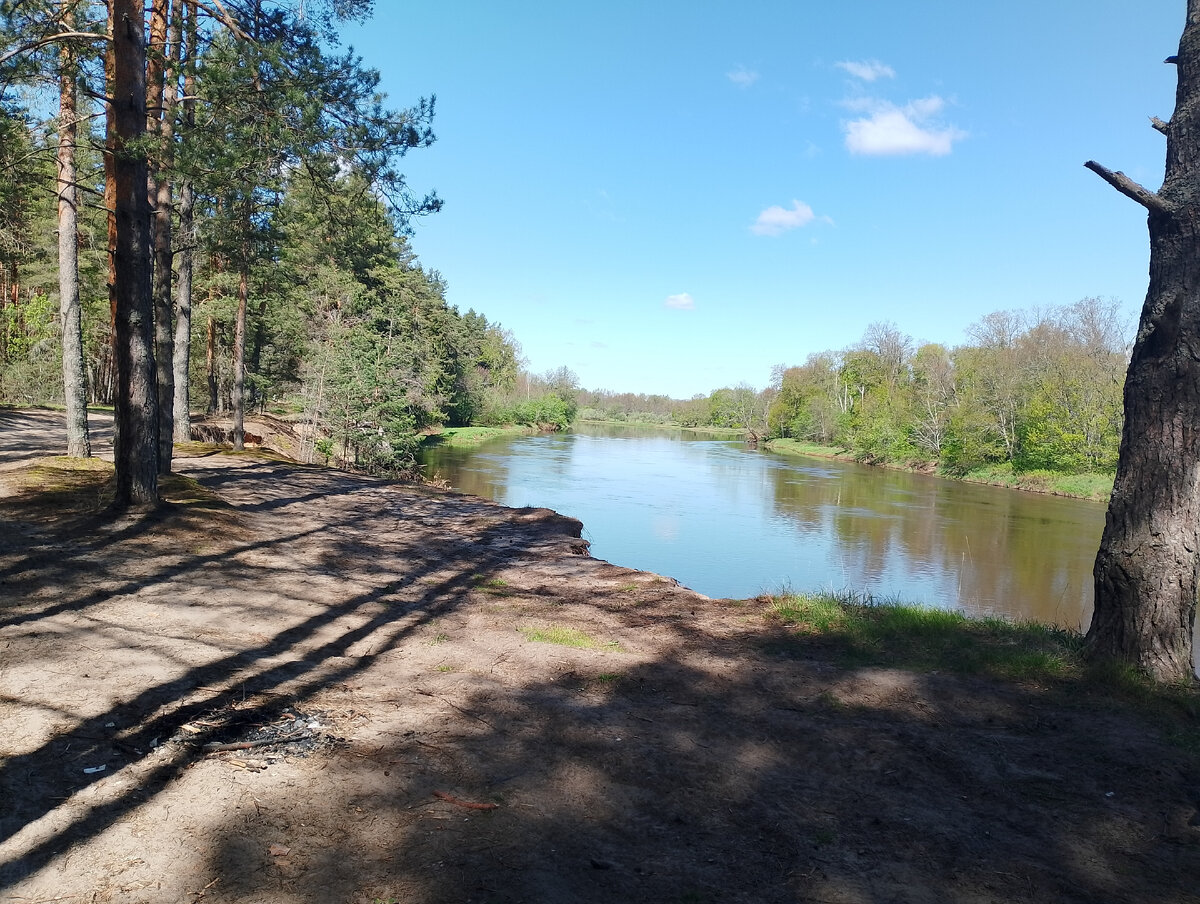 Высокий берег Клязьмы за урочищем "Сеньга-Лазаревка"