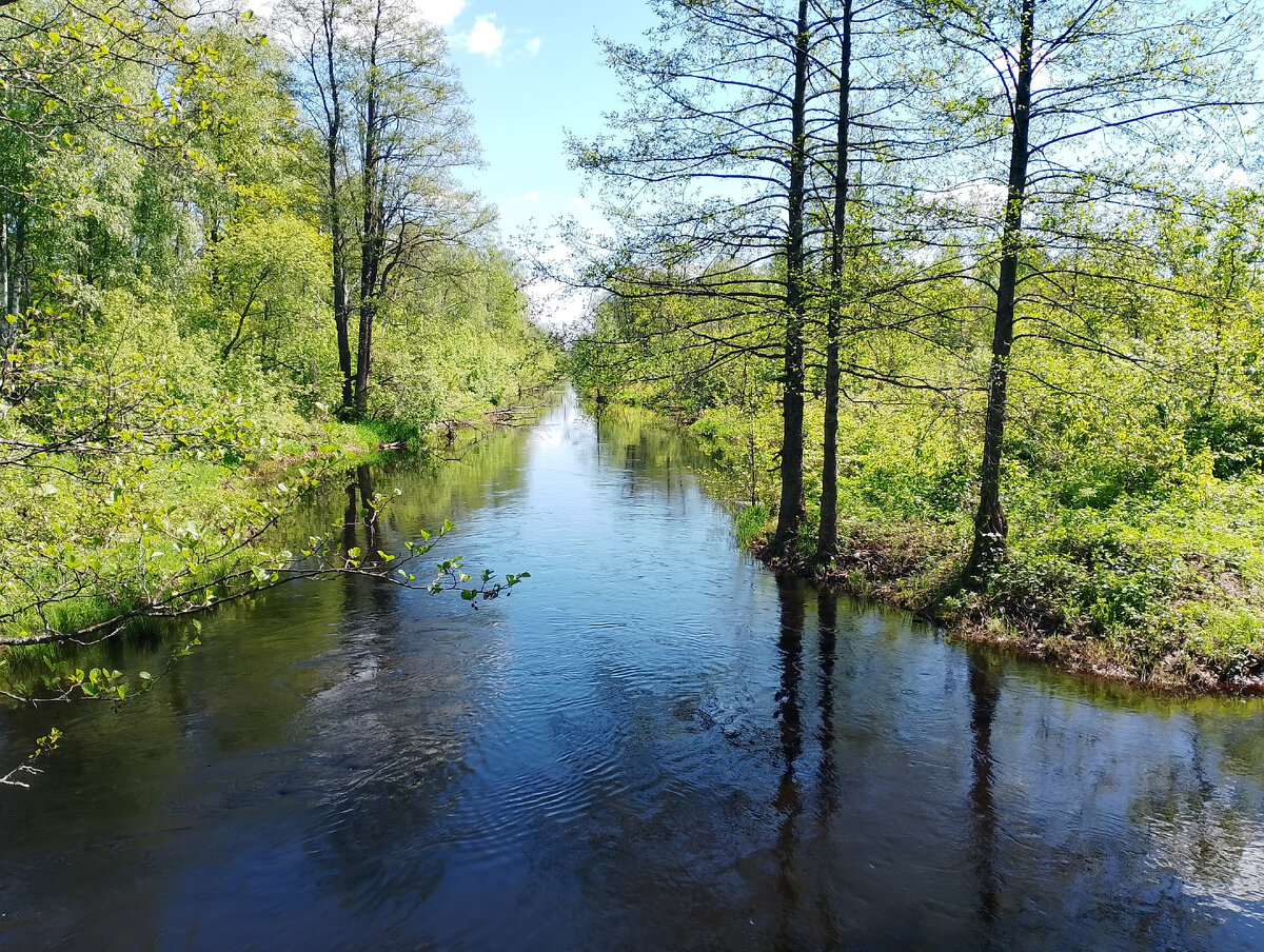 Река Большая Ушма