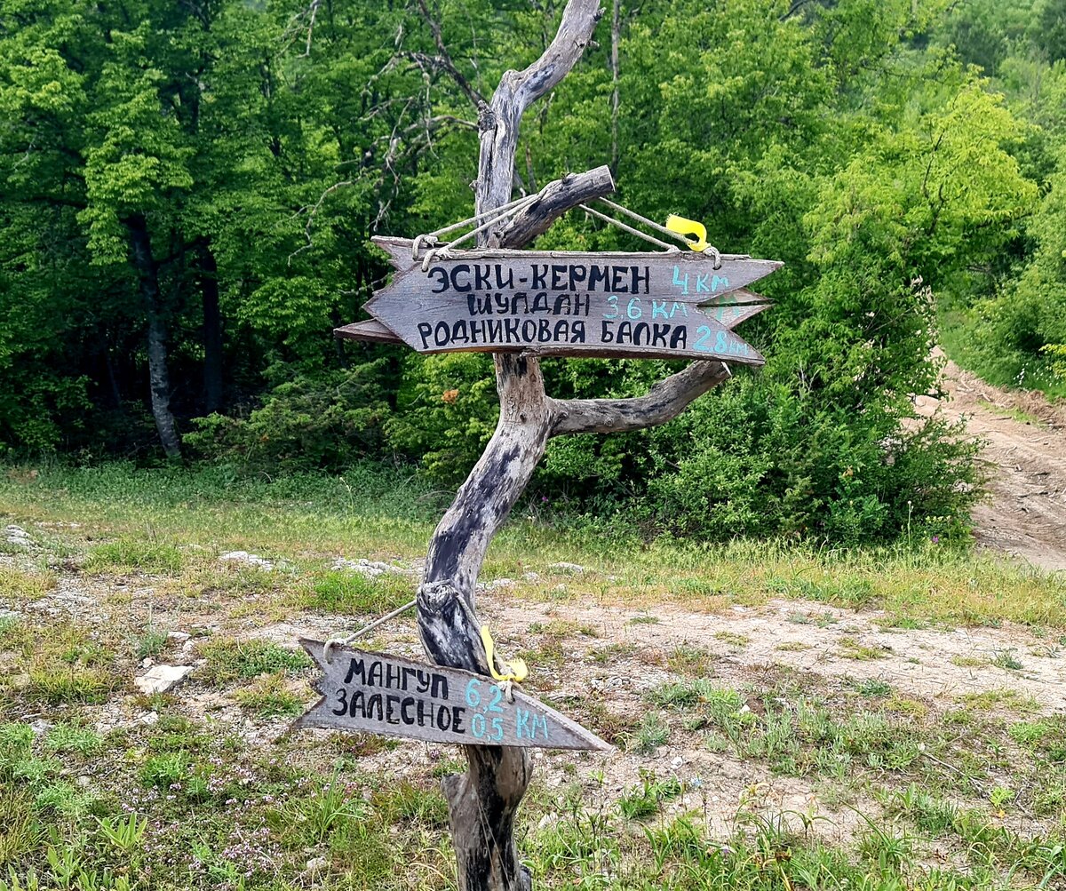 По тропе на пещерный город Эски-Кермен, май 2024