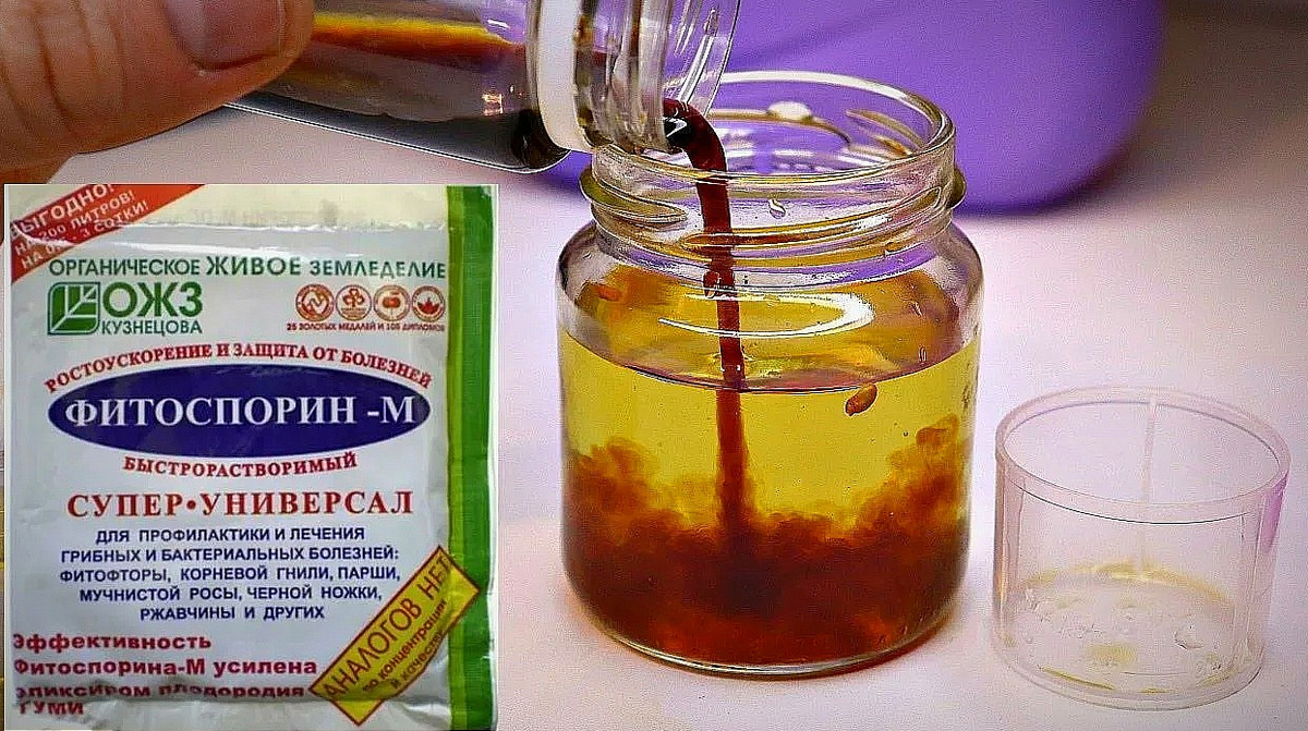 Фитоспорин-М