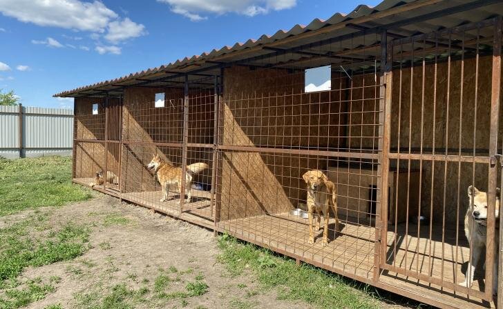    фото Курские известия